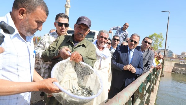 محافظ الشرقية