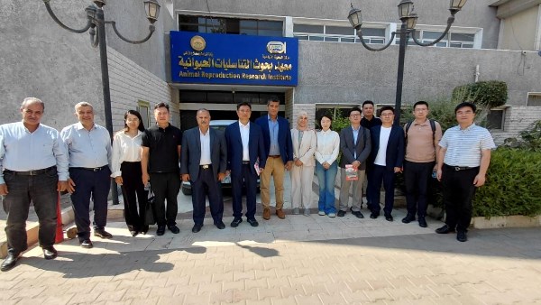 بحوث التناسليات الحيوانيه