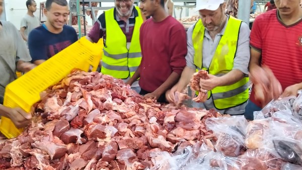 بدء تغليف وتبريد لحوم الأضاحي