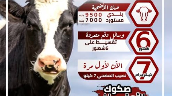 صكوك الأضاحي 
