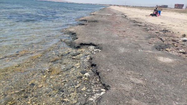 البقع قديمة متحجرة علي شاطئ الجبيل 
