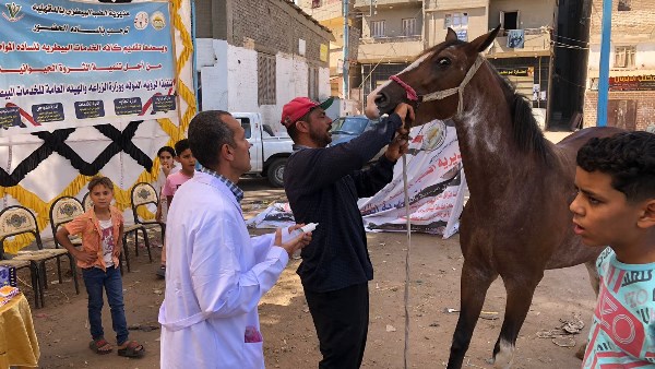 محافظ الدقهلية يتفقد القافلة الطبية البيطرية المجا
