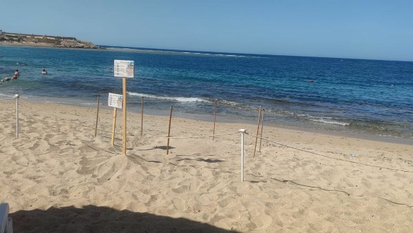 صورة موضوعية