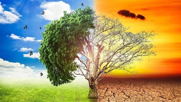 حماية المحيطات والبحار 
