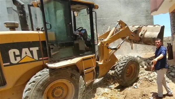 محافظ البحيرة