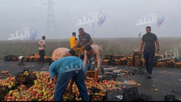 محافظ البحيرة