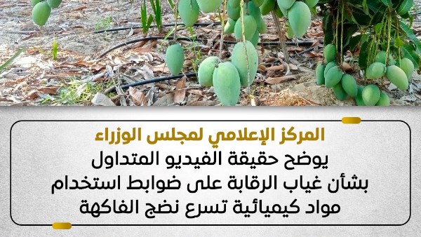 إعلامي الوزراء يوضح حقيقة الفيديو المتداول بشأن غياب الرقابة على ضوابط استخدام مواد كيميائية تسرع نضج الفاكهة