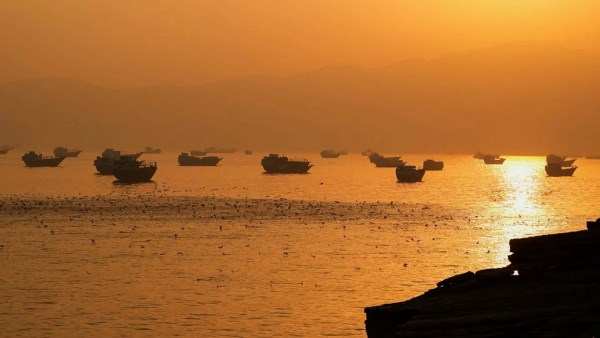 إعادة فتح مضيق هرمز تشعل سوق الشحن البحري وأجور الناقلات تقفز إلى مستويات كبيرة