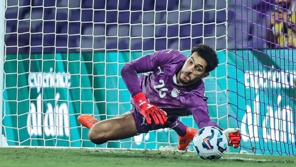 مصطفى شوبير