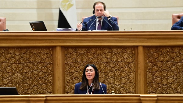 النائب محمد أبو العينين