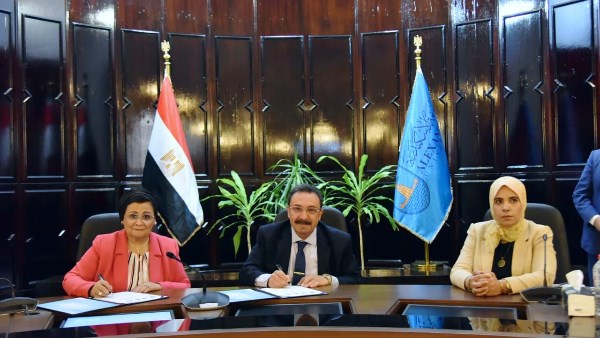  الدكتورة عبلة الألفي، نائب وزير الصحة والسكان 