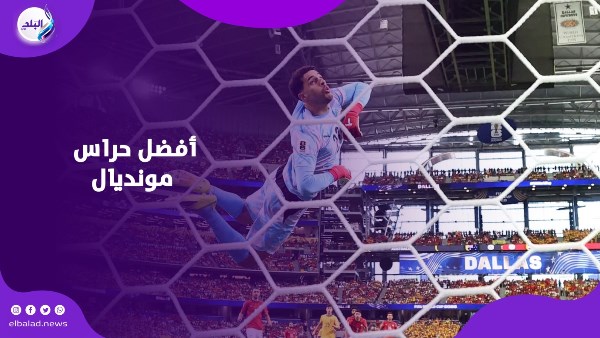مصطفى شوبير
