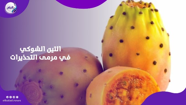 التين الشوكي