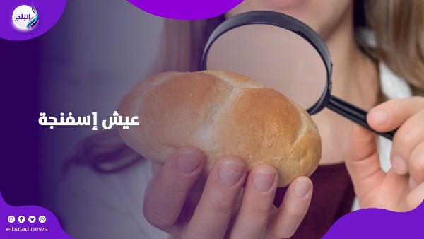 خبز إسفنج 