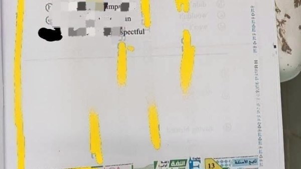 الصورة المثيرة للجدل