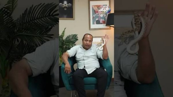 كيف تحمي أطفالك من الثعابين؟.. سمير كوبرا يطالب بنشر التوعية في المدارس 
