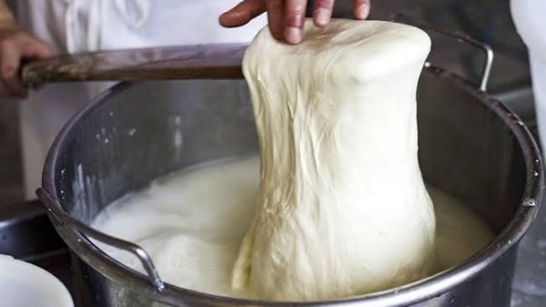 طريقة عمل الجبن 