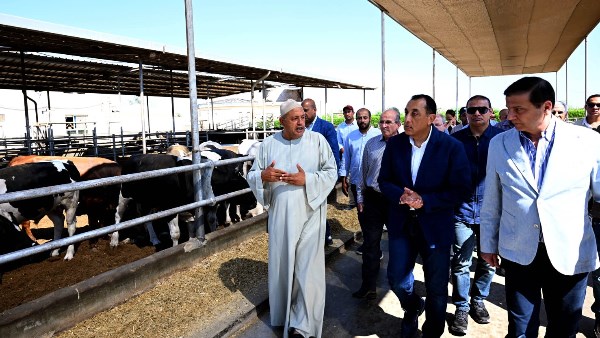 رئيس الوزراء ووزير الزراعة خلال جولة التفقد