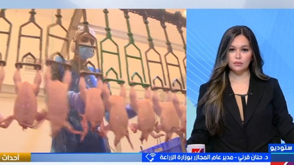 مدير عام المجازر توضح حقيقة حقن الفراخ بالهرمونات مدير عام المجازر توضح حقيقة حقن الفراخ بالهرمونات