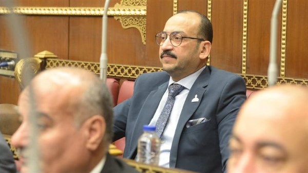 برلماني: كلمة الرئيس السيسي أكدت أن السلام لا يُصان إلا بقوة الدولة