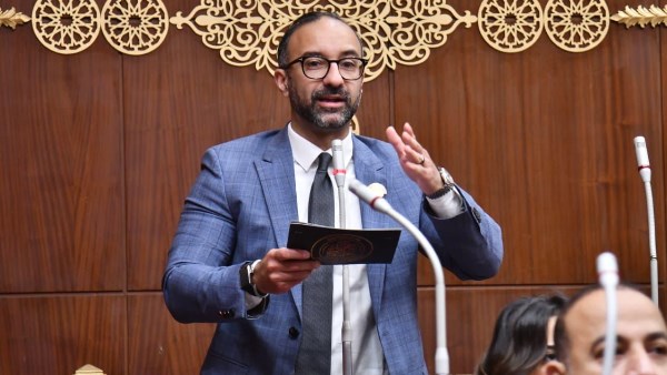النائب أحمد الحمامصي