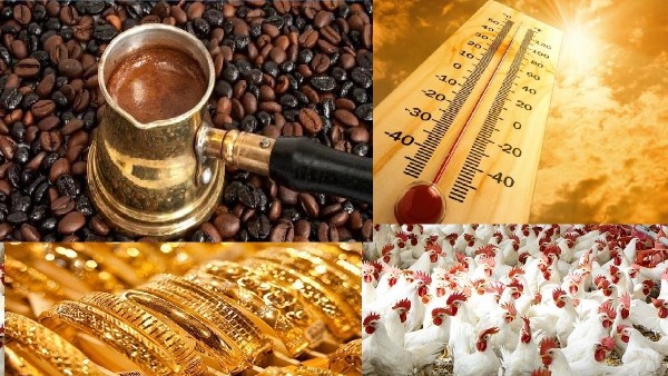 صورة الملف