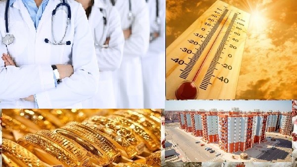 صورة الملف