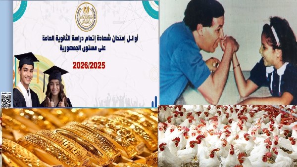 صورة الملف