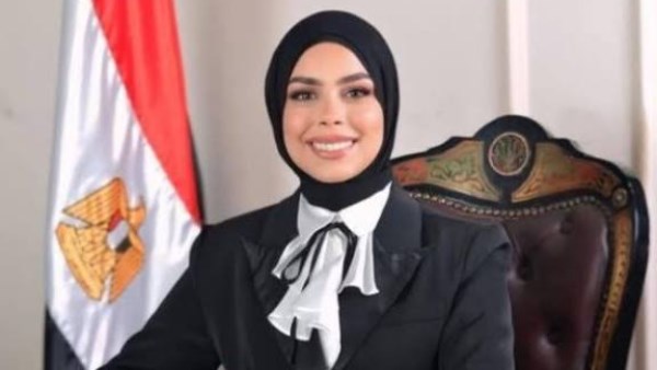  النائبة سجي عمرو هندي، عضو مجلس النواب
