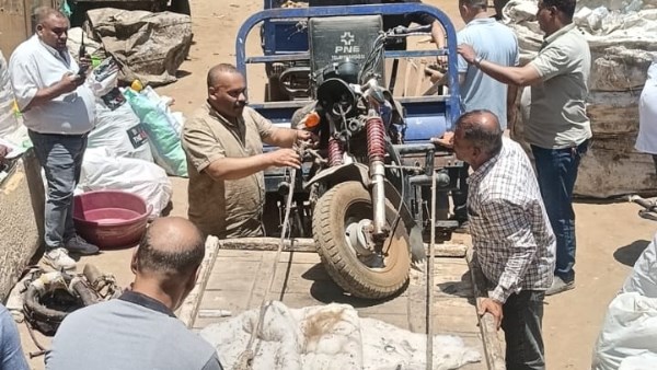 حملات على الفريزة