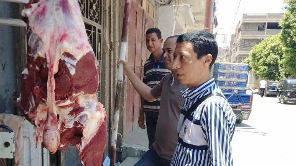 حملات تموينية متنوعة 