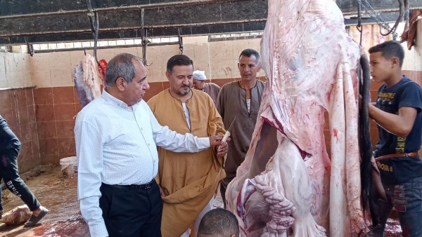 ضبط 2 طن لحوم ودواجن غير صالحة خلال حملات شهر يونيو