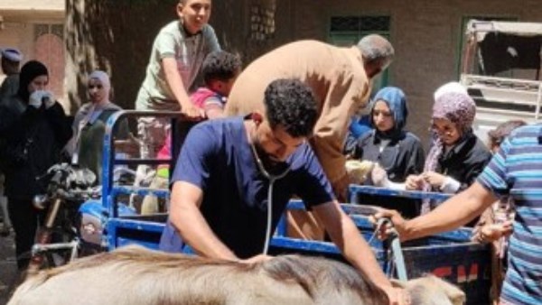 قوافل بيطرية بأسيوط 