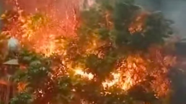 السيطرة على حريق بأشجار الحلف والحشائش الجافة بجوار موقف المطاعنة في إسنا