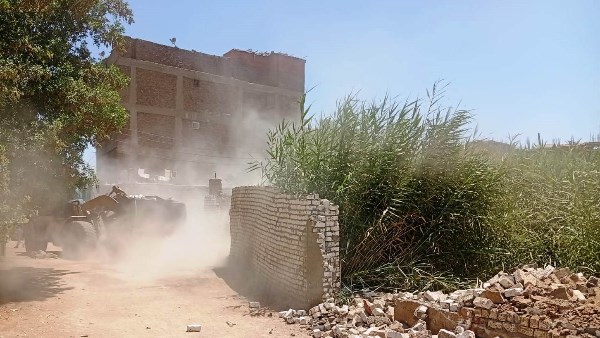 جهود محافظة أسوان