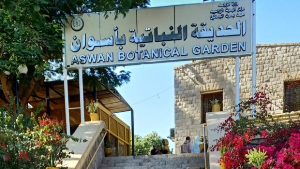 جهود محافظة أسوان
