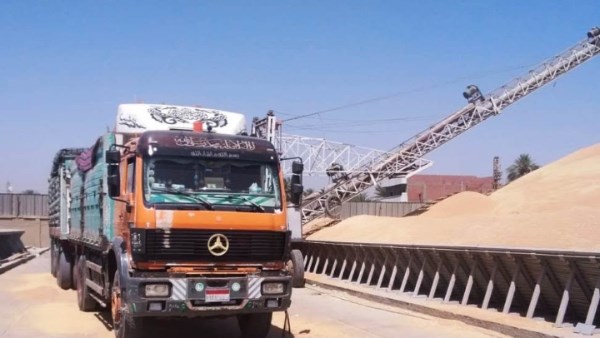 توريد 600 ألف طن قمح بالصوامع والشون والبناكر في أسوان توريد 600 ألف طن قمح بالصوامع والشون والبناكر في أسوان
