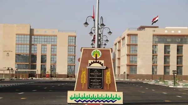 محافظة الوادي الجديد 