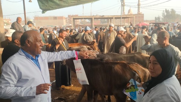 مواشي الغربية 