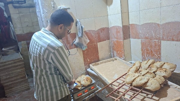 حملات رقابية بالغربية 
