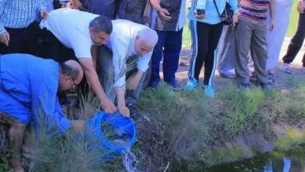 زراعة الشرقية