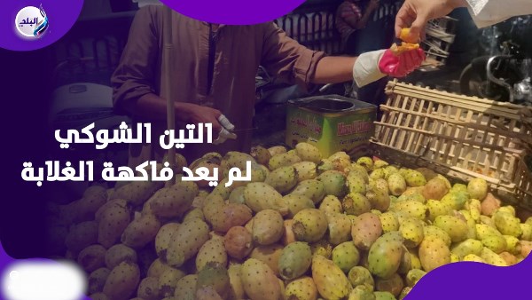 التين الشوكي 