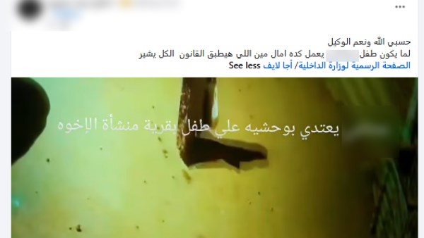 المنشور
