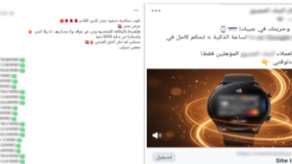 الصفحات 