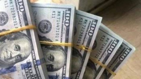 سعر الدولار 