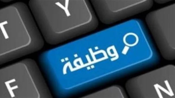  وظائف الوكز القومي للامتحانات