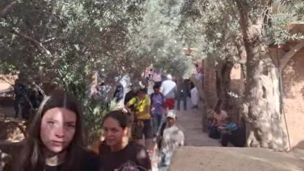 السياح بدير سانت كاترين 