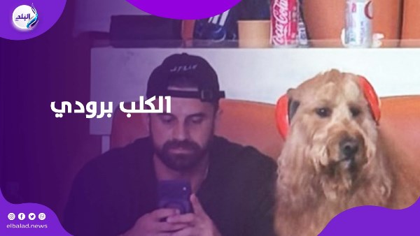 الكلب برودي