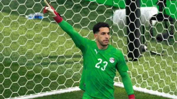 مصطفى شوبير 