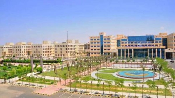 بعيدًا عن الطب والهندسة.. كليات مطلوبة في سوق العمل برواتب مجزية